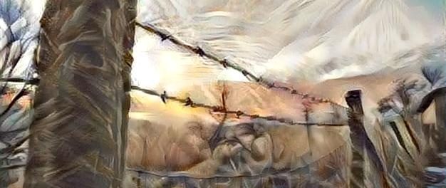 Meet Grassroots Appalachia