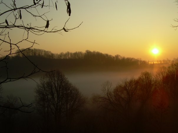view-of-the-hollow-from-house